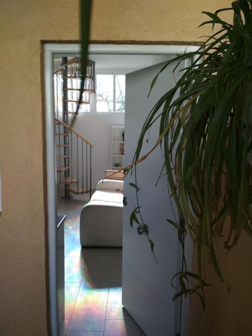 Loft Con Encanto De Raul Y Rosa 산세바스티안데레예스 외부 사진